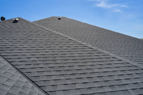 Best Asphalt Shingle Roofing  in Porter, IN